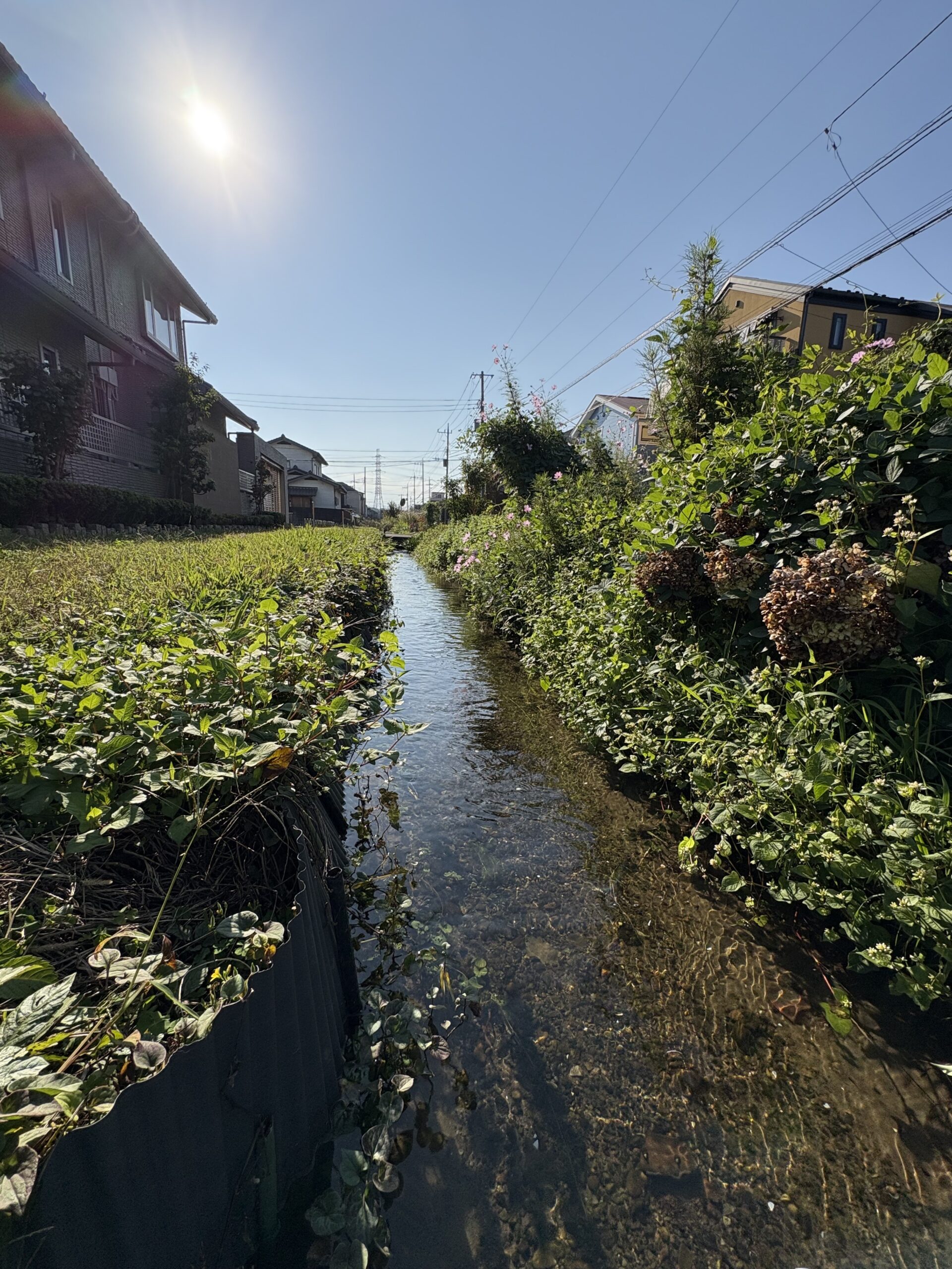 秋晴れの日のせせらぎ