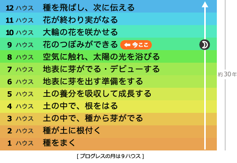 プログレスの月は9ハウスにあります